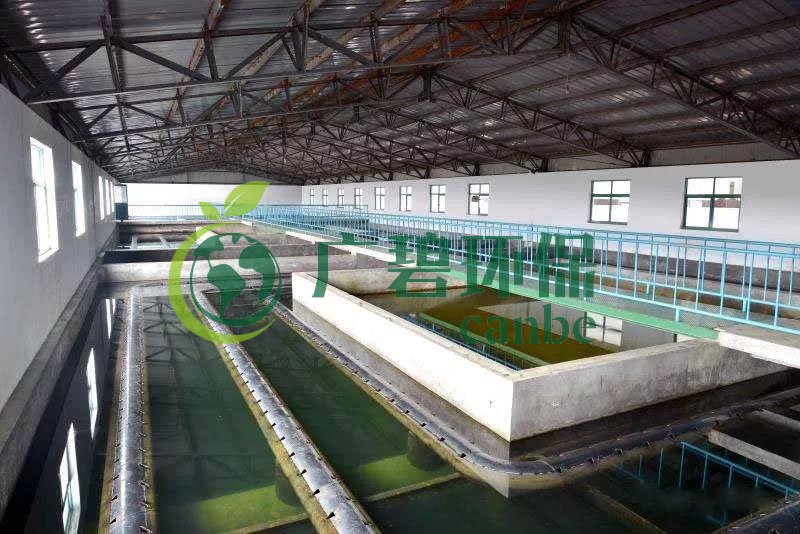 什么是制糖廢水？制糖廢水處理技術(shù)(圖1)